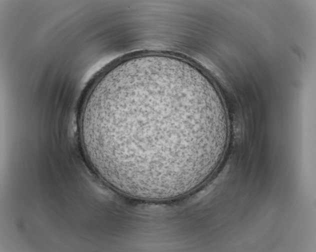 X0000113291070200910131021