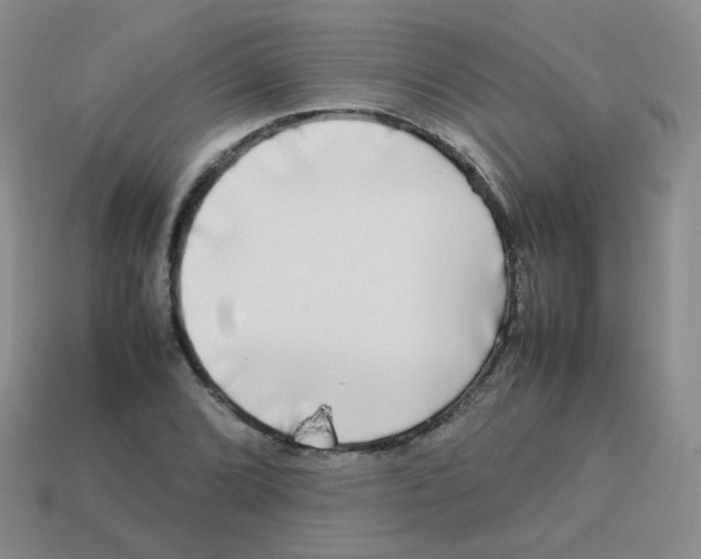 X0000113291072200910131021