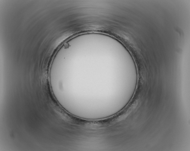 X0000113291073200910131021