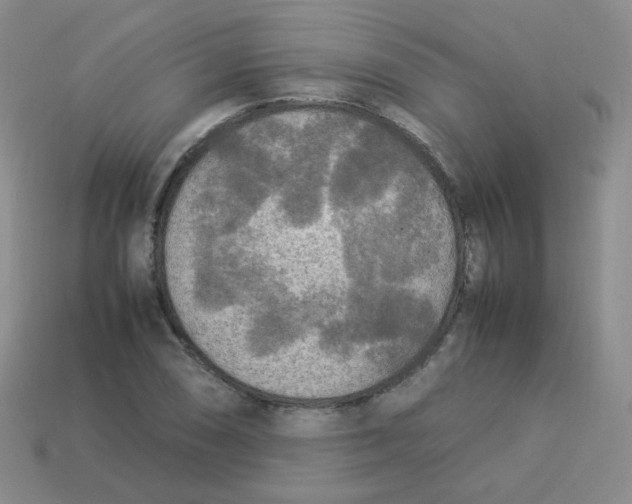 X0000113291074200910131021