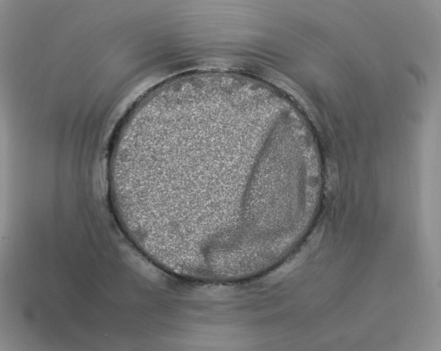 X0000113291075200910131021
