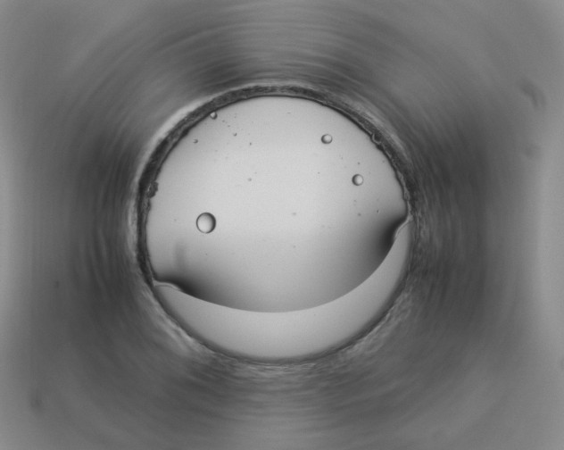 X0000113291076200910131021