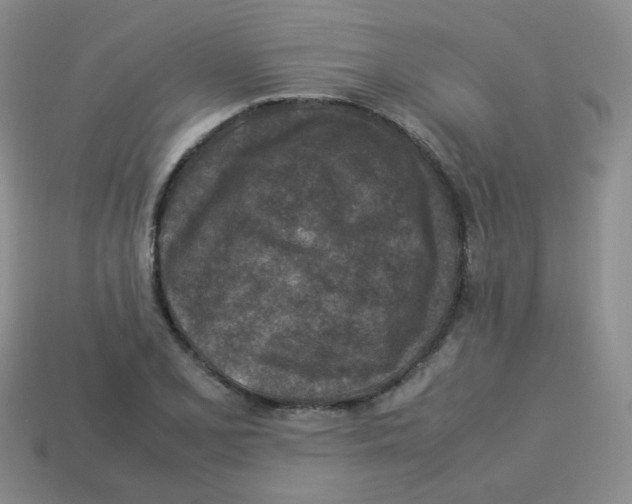 X0000113291077200910131021