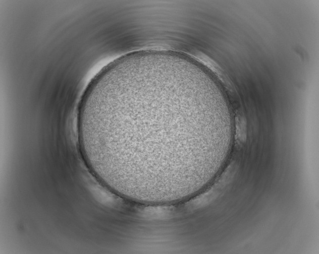 X0000113291078200910131021