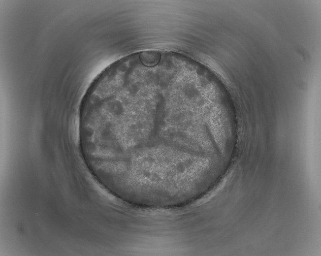 X0000113291079200910131021