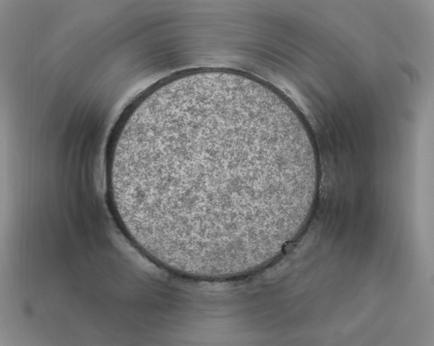 X0000113291080200910131021