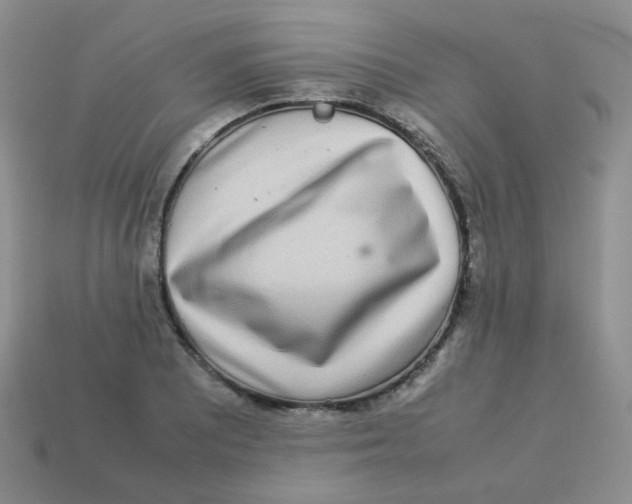 X0000113291081200910131021