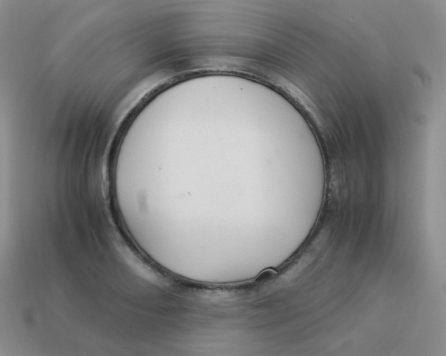 X0000113291082200910131021