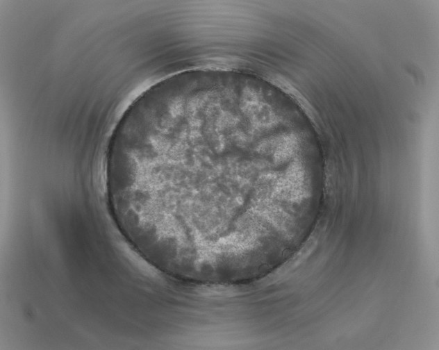 X0000113291083200910131021