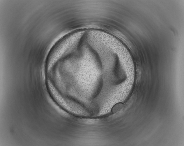 X0000113291084200910131021