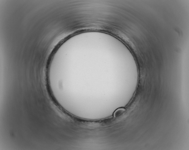 X0000113291085200910131021