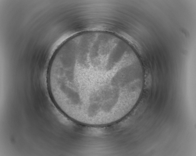 X0000113291086200910131021