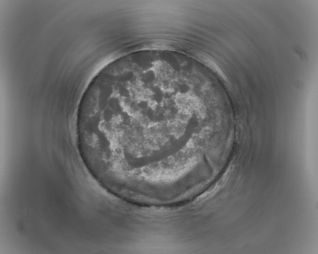 X0000113291087200910131021