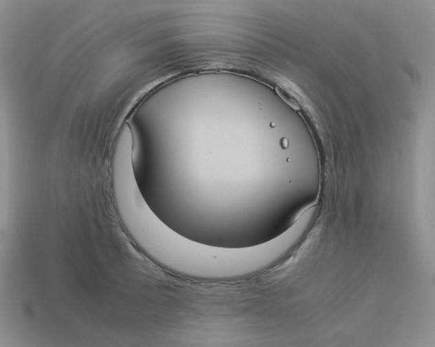 X0000113291089200910131021