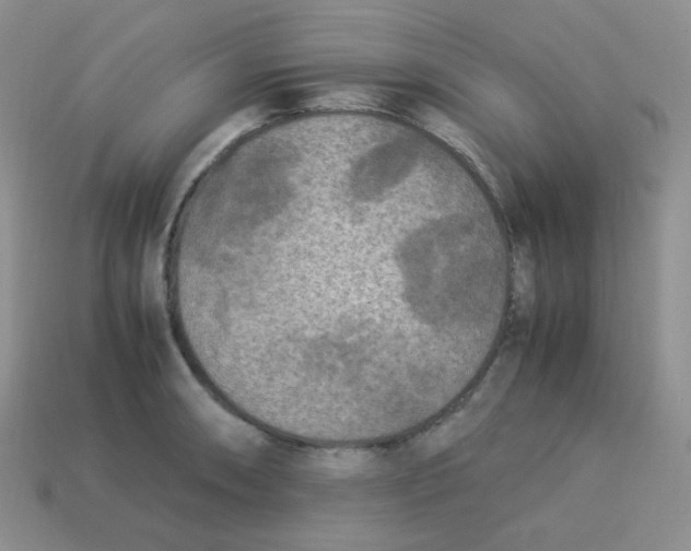 X0000113291090200910131021