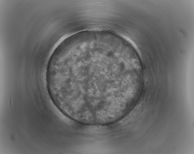 X0000113291091200910131021