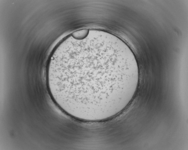 X0000113291092200910131021