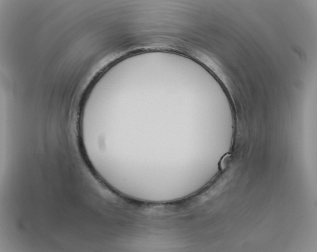 X0000113291093200910131021