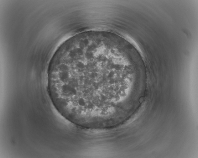 X0000113291095200910131021