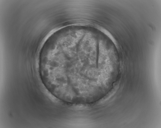 X0000113291099200910131021