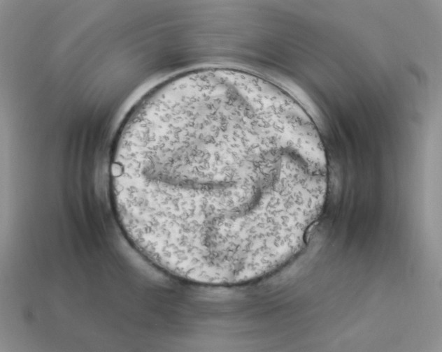 X0000113291100200910131021