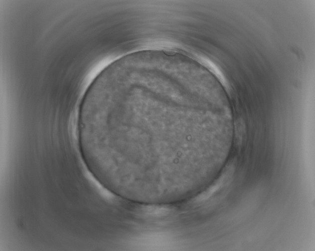 X0000113291103200910131021