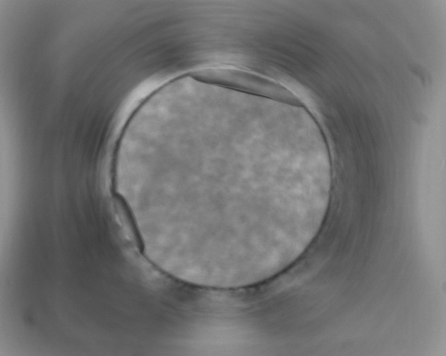 X0000113291104200910131021