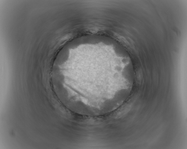 X0000113291105200910131020