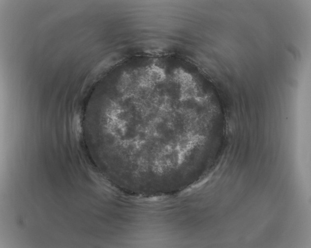 X0000113291106200910131020
