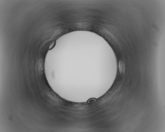 X0000113291107200910131020