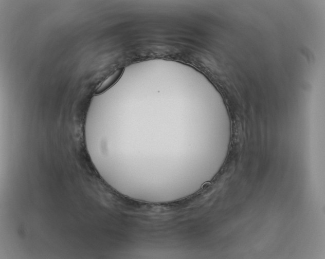 X0000113291109200910131020