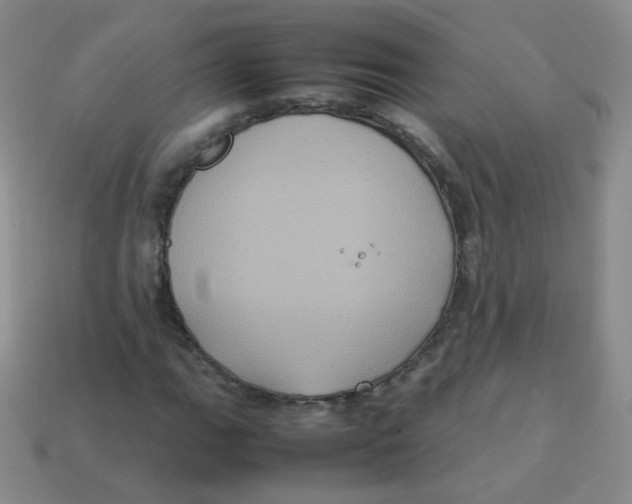 X0000113291111200910131020