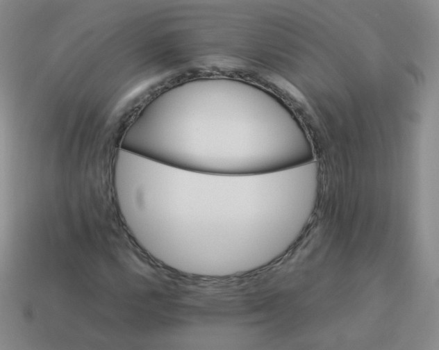 X0000113291112200910131020