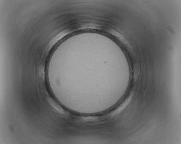 X0000113291113200910131020