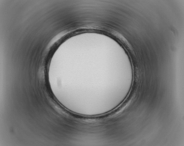 X0000113291114200910131020