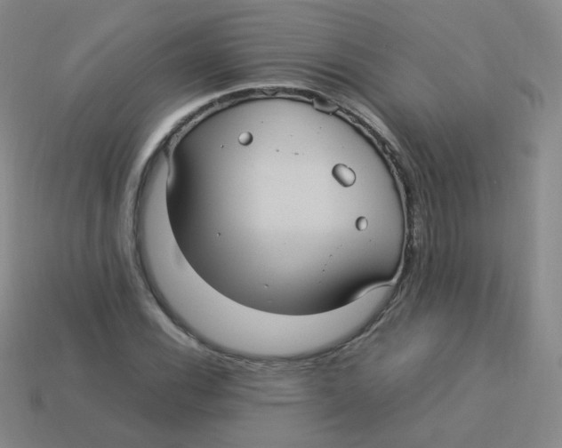 X0000113291116200910131021