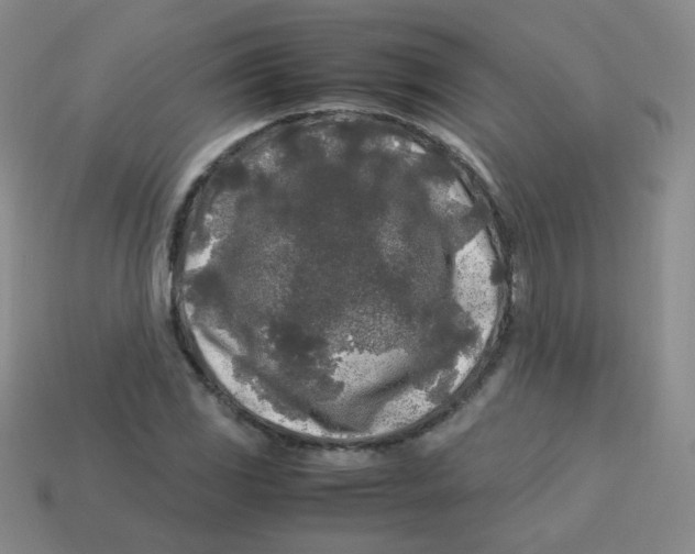 X0000113291117200910131021