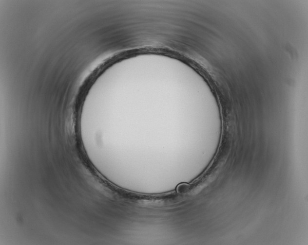 X0000113291118200910131021