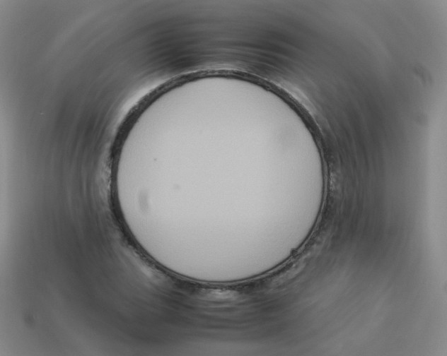 X0000113291119200910131021