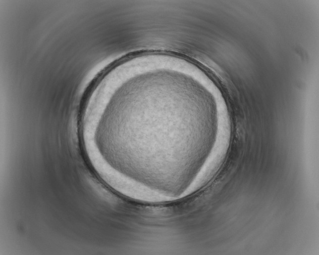 X0000113291120200910131021