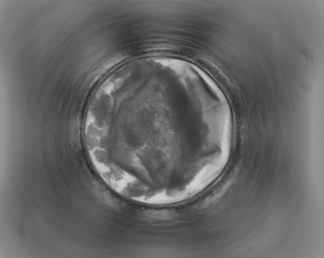 X0000113291121200910131021