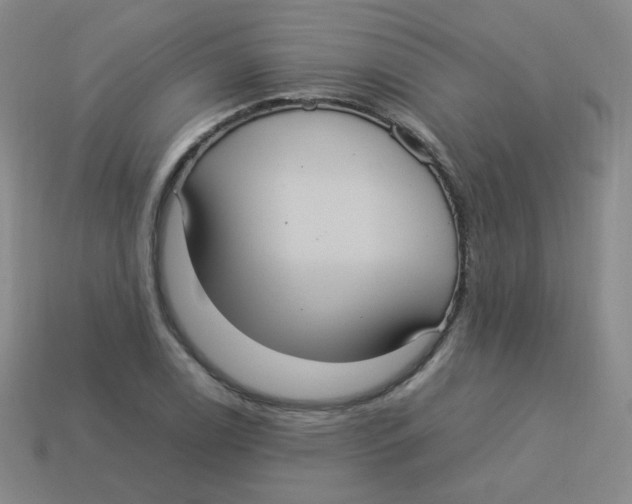 X0000113291122200910131021