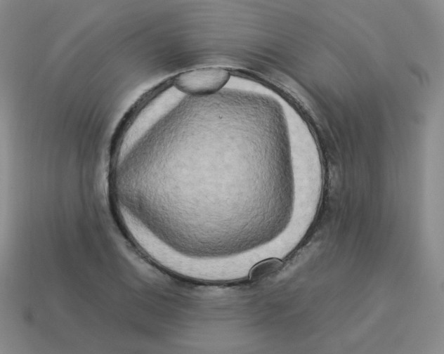 X0000113291124200910131021