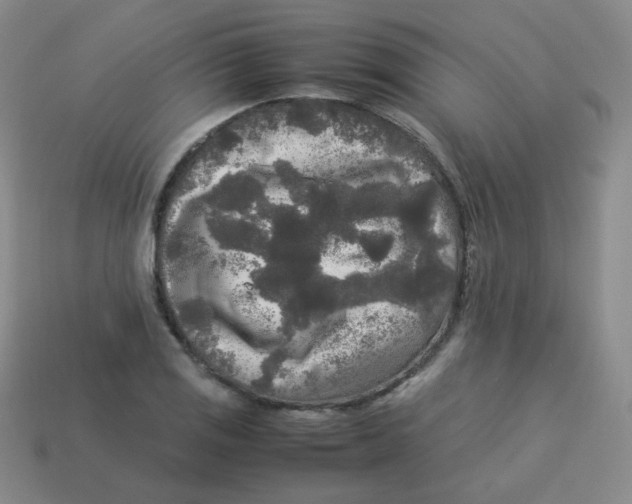 X0000113291125200910131021