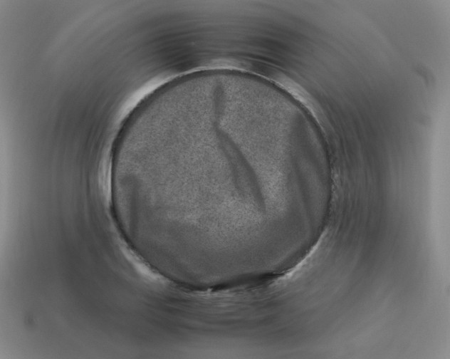 X0000113291127200910131021