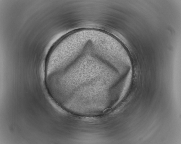 X0000113291128200910131021