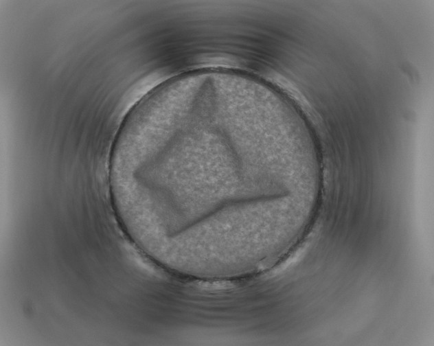 X0000113291129200910131021