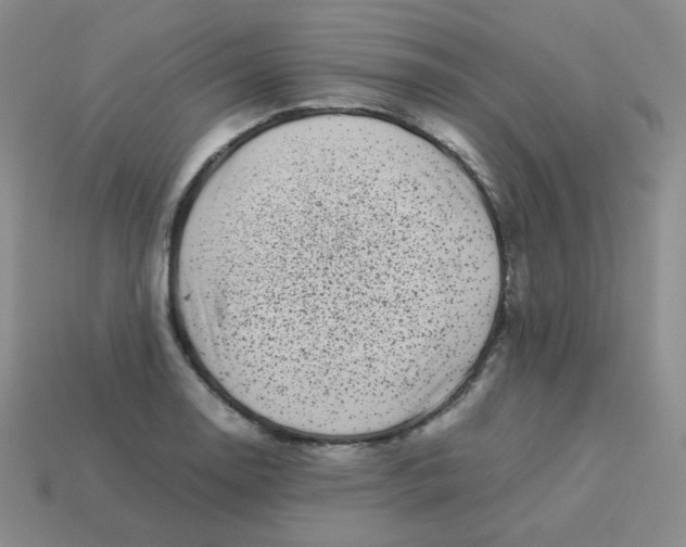 X0000113291130200910131021