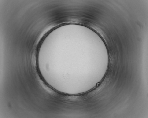X0000113291131200910131021