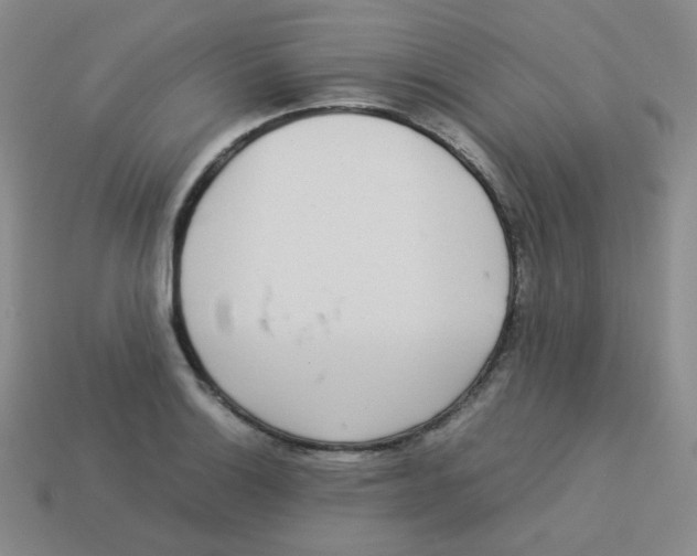 X0000113291132200910131021